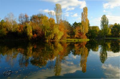 Прикрепленное изображение: п2.jpg